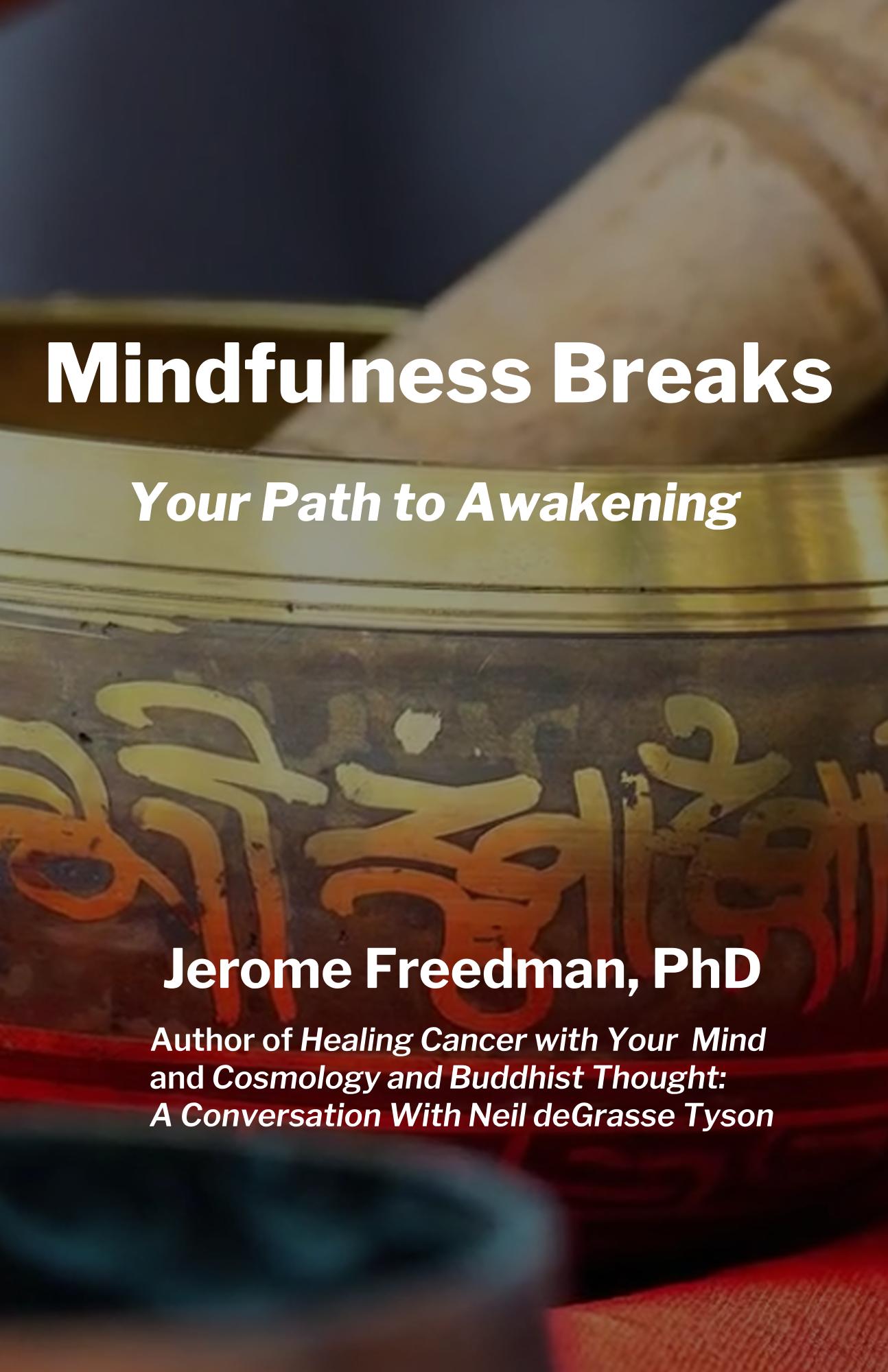 Mindfulness Breaks Mindfulness Breaks